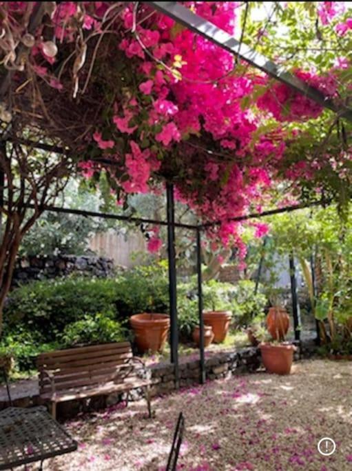 Inn The Garden Apartament Aeroporto di Catania Fontana Rossa Esterno foto